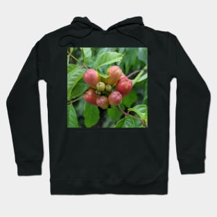 Red Buds on a Walk Photographic Image Hoodie